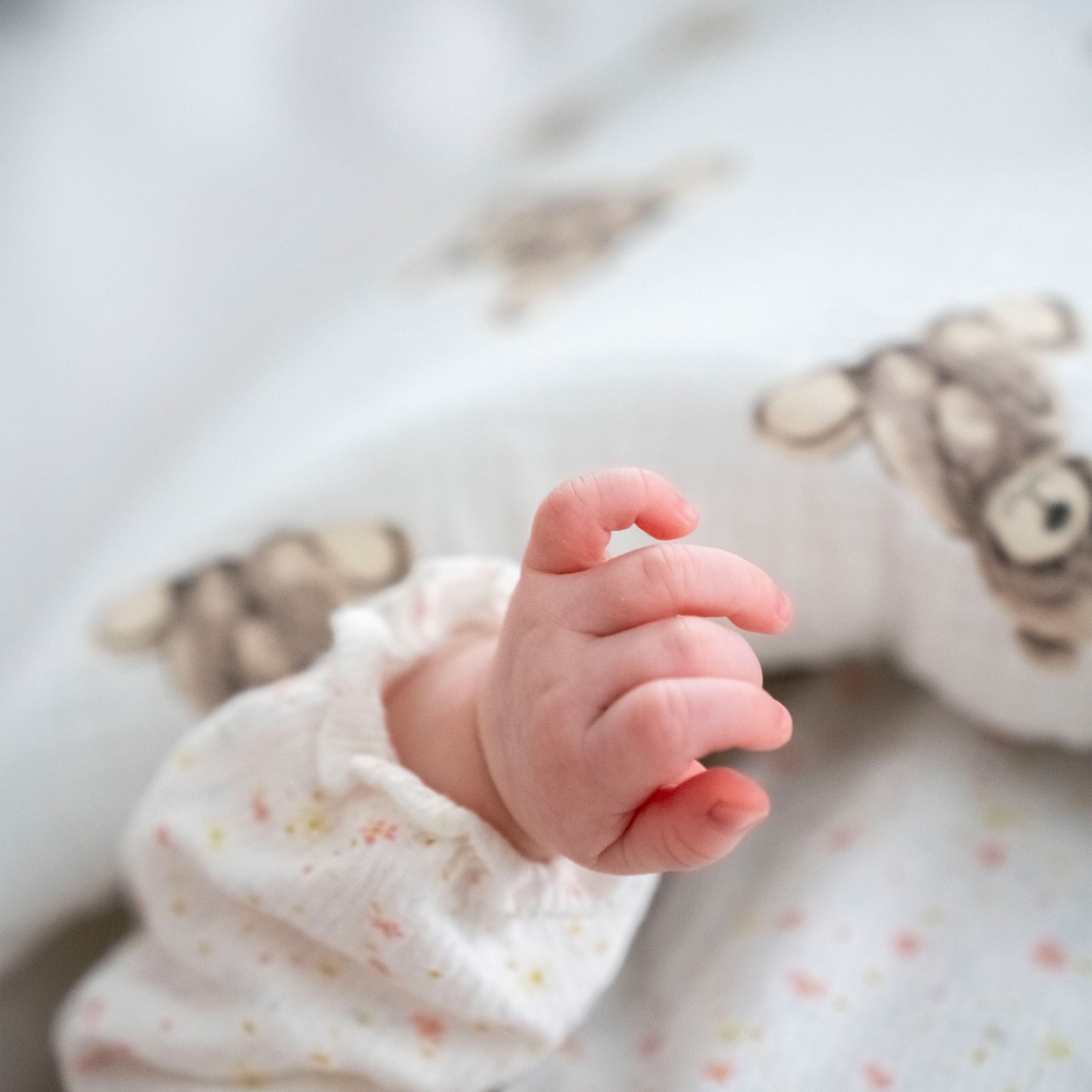 Babyschlafsack Dreamy Musselin Teddybär – süßer Ganzjahresschlafsack - Babyschlafsack