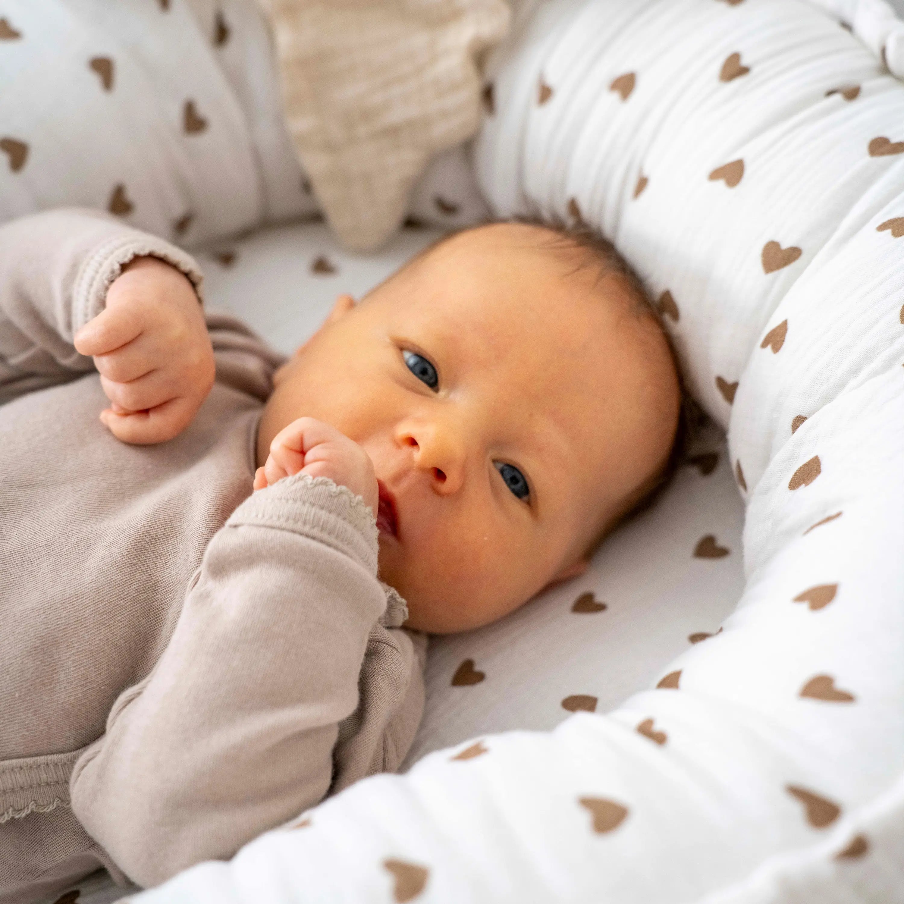 Babynestchen Musselin Herzen braun – Weicher mitwachsender Baby-Kokon - Herzen braun - Babynestchen