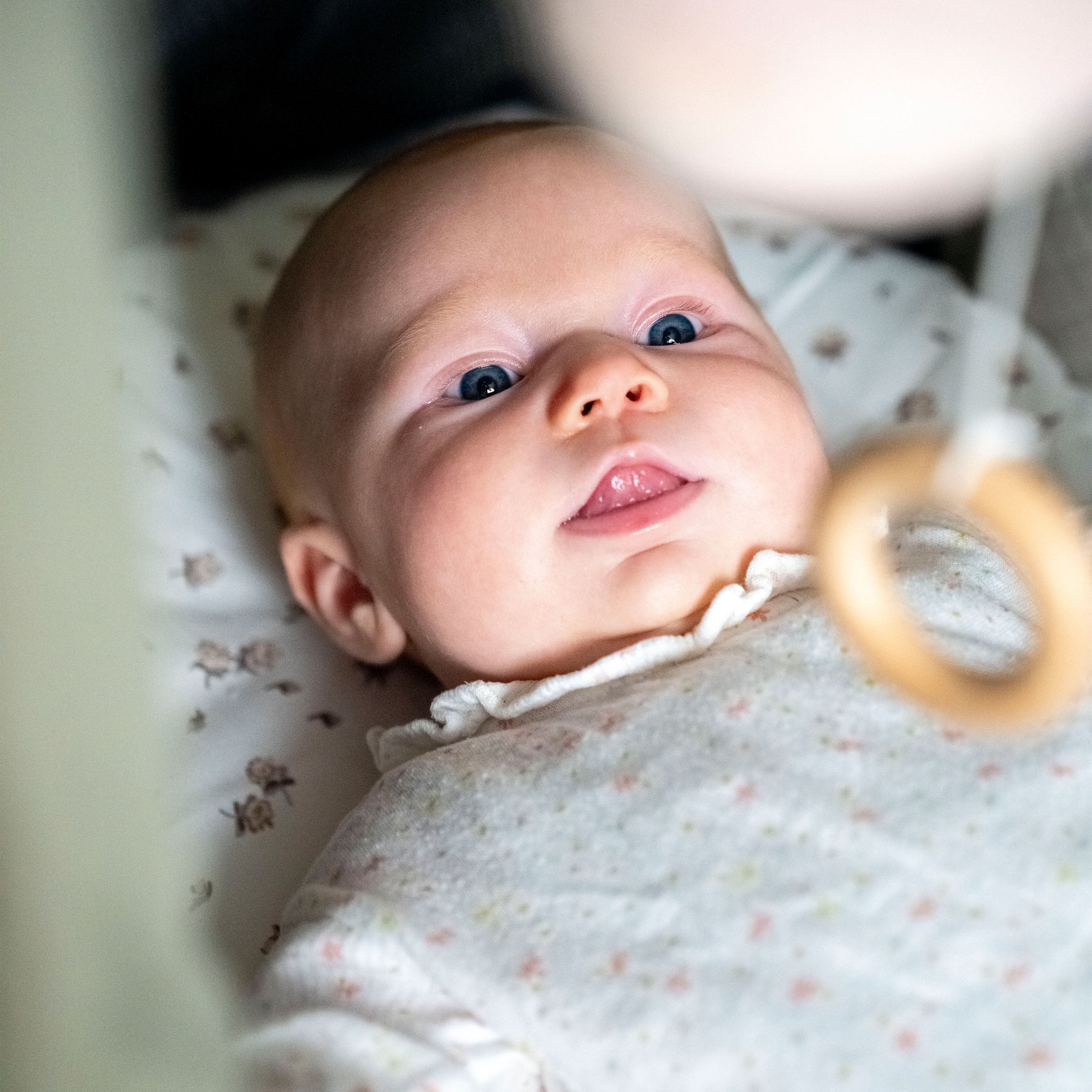 Spannbetttuch Baumwolle Rosen - weich atmungsaktiv & hautfreundlich - Rosen / 40x80 cm - Bettlaken