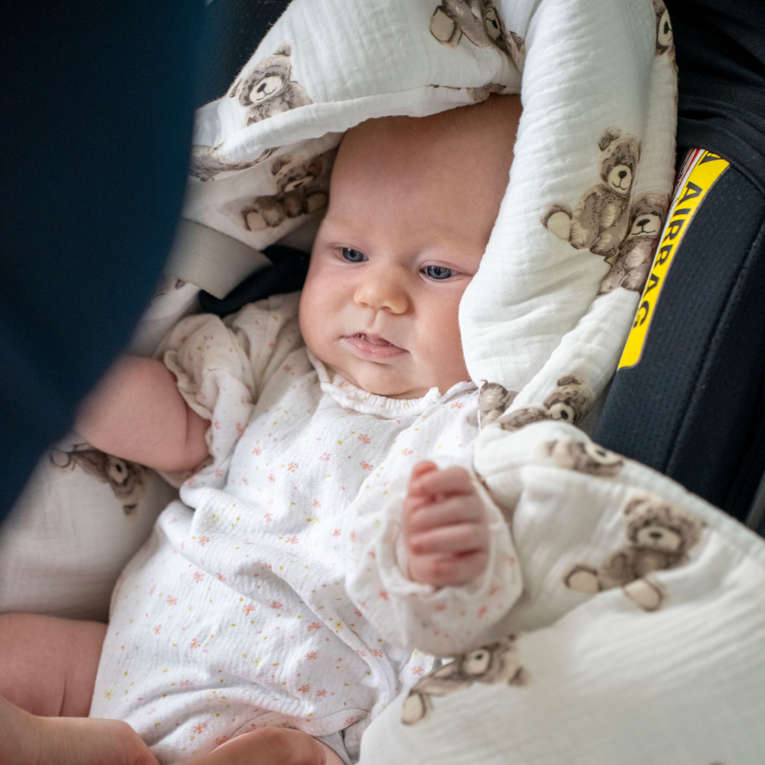 Einschlagdecke Musselin Teddybär – Perfekt für Autoschale Ganzjährig - Einschlagdecke Autoschale