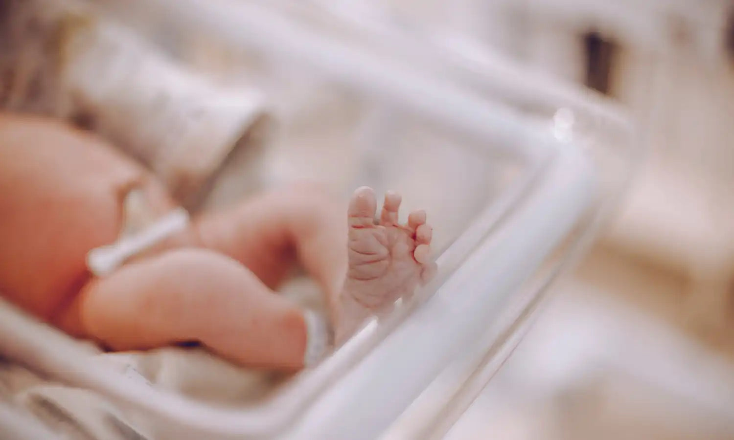 Neugeborenes Baby in einem Inkubator.